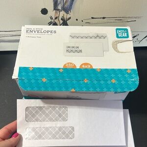 250 4 x 9 peel and stick envelopes